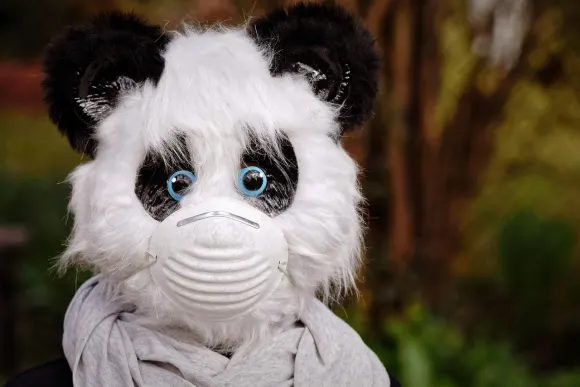 SpinShake Casino Kundeservice